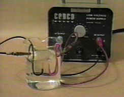 Apparatus for the electrolysis of water.